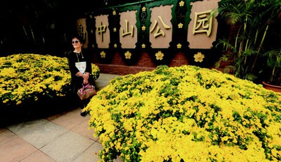 中山公园菊展本周末将开幕 吸引大量游客围观